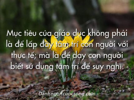 Mục tiêu của giáo dục không phải là để lấp đầy tâm trí con người với thực tế; mà là để dạy con người biết sử dụng tâm trí để suy nghĩ.