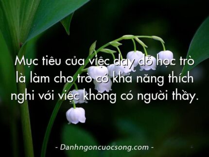 Mục tiêu của việc dạy dỗ học trò là làm cho trò có khả năng thích nghi với việc không có người thầy.