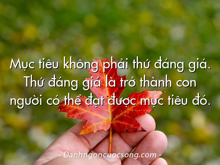 Mục tiêu không phải thứ đáng giá. Thứ đáng giá là trở thành con người có thể đạt được mục tiêu đó.