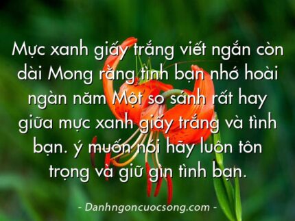 Mực xanh giấy trắng viết ngắn còn dài Mong rằng tình bạn nhớ hoài ngàn năm Một so sánh rất hay giữa mực xanh giấy trắng và tình bạn. ý muốn nói hãy luôn tôn trọng và giữ gìn tình bạn.