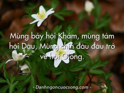 Mùng bảy hội Khám, mùng tám hội Dâu, Mùng chín đâu đâu trở về hội Gióng.