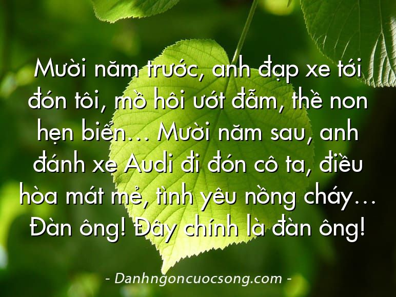 Mười năm trước, anh đạp xe tới đón tôi, mồ hôi ướt đẫm, thề non hẹn biển… Mười năm sau, anh đánh xe Audi đi đón cô ta, điều hòa mát mẻ, tình yêu nồng cháy… Đàn ông! Đây chính là đàn ông!