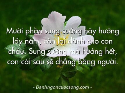 Mười phần sung sướng hãy hưởng lấy năm, còn lại dành cho con cháu. Sung sướng mà hưởng hết, con cái sau sẽ chẳng bằng người.
