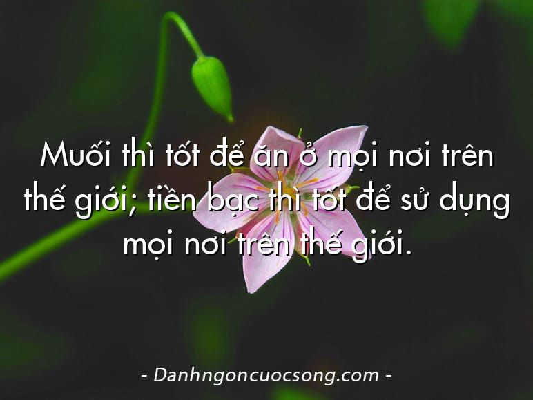 Muối thì tốt để ăn ở mọi nơi trên thế giới; tiền bạc thì tốt để sử dụng mọi nơi trên thế giới.