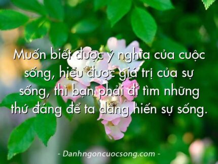 Muốn biết được ý nghĩa của cuộc sống, hiểu được giá trị của sự sống, thì bạn phải đi tìm những thứ đáng để ta dâng hiến sự sống.