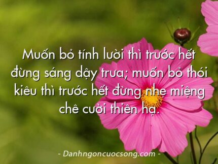 Muốn bỏ tính lười thì trước hết đừng sáng dậy trưa; muốn bỏ thói kiêu thì trước hết đừng nhẹ miệng chê cười thiên hạ.