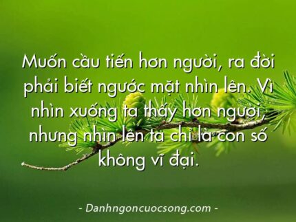 Muốn cầu tiến hơn người, ra đời phải biết ngước mặt nhìn lên. Vì nhìn xuống ta thấy hơn người, nhưng nhìn lên ta chỉ là con số không vĩ đại.