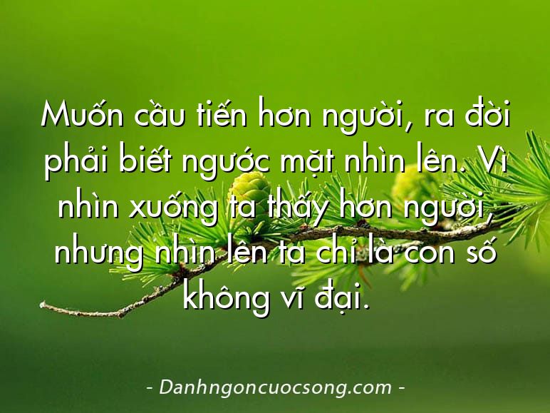 Muốn cầu tiến hơn người, ra đời phải biết ngước mặt nhìn lên. Vì nhìn xuống ta thấy hơn người, nhưng nhìn lên ta chỉ là con số không vĩ đại.