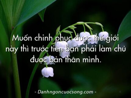 Muốn chinh phục được thế giới này thì trước tiên bạn phải làm chủ được bản thân mình.