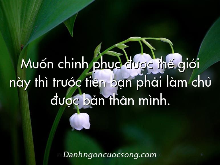 Muốn chinh phục được thế giới này thì trước tiên bạn phải làm chủ được bản thân mình.