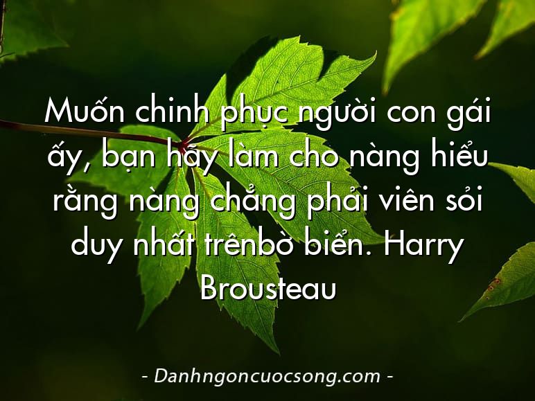 Muốn chinh phục người con gái ấy, bạn hãy làm cho nàng hiểu rằng nàng chẳng phải viên sỏi duy nhất trênbờ biển. Harry Brousteau