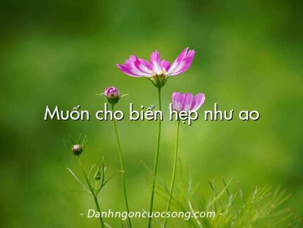 Muốn cho biển hẹp như ao