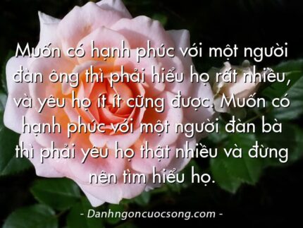Muốn có hạnh phúc với một người đàn ông thì phải hiểu họ rất nhiều, và yêu họ ít ít cũng được. Muốn có hạnh phúc với một người đàn bà thì phải yêu họ thật nhiều và đừng nên tìm hiểu họ.