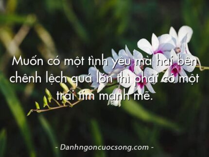 Muốn có một tình yêu mà hai bên chênh lệch quá lớn thì phải có một trái tim mạnh mẽ.