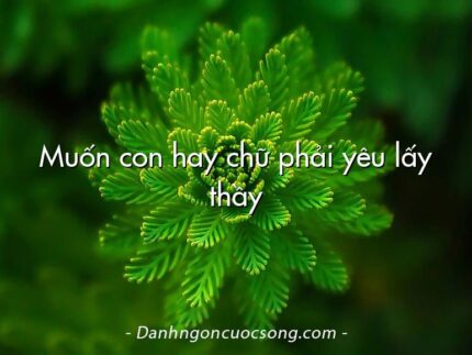 Muốn con hay chữ phải yêu lấy thầy