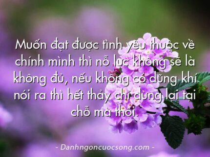 Muốn đạt được tình yêu thuộc về chính mình thì nỗ lực không sẽ là không đủ, nếu không có dũng khí nói ra thì hết thảy chỉ dừng lại tại chỗ mà thôi.