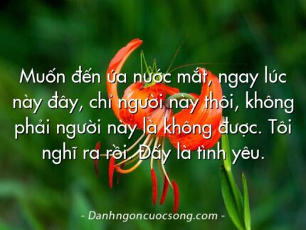 Muốn đến ứa nước mắt, ngay lúc này đây, chỉ người này thôi, không phải người này là không được. Tôi nghĩ ra rồi. Đấy là tình yêu.