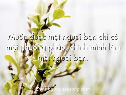 Muốn được một người bạn chỉ có một phương pháp, chính mình làm một người bạn.