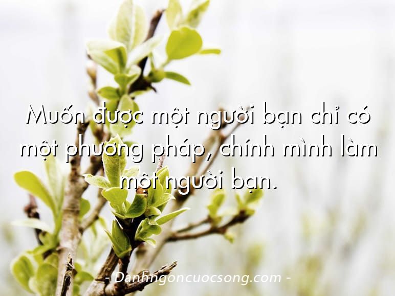 Muốn được một người bạn chỉ có một phương pháp, chính mình làm một người bạn.