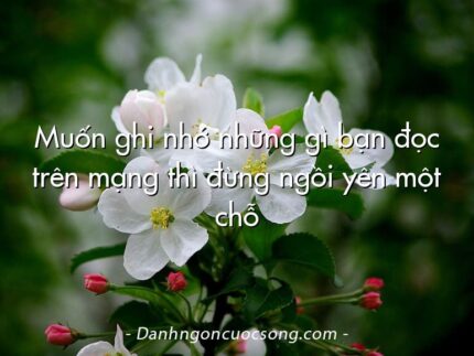 Muốn ghi nhớ những gì bạn đọc trên mạng thì đừng ngồi yên một chỗ