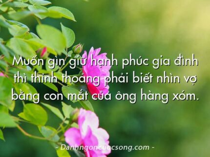 Muốn gìn giữ hạnh phúc gia đình thì thỉnh thoảng phải biết nhìn vợ bằng con mắt của ông hàng xóm.