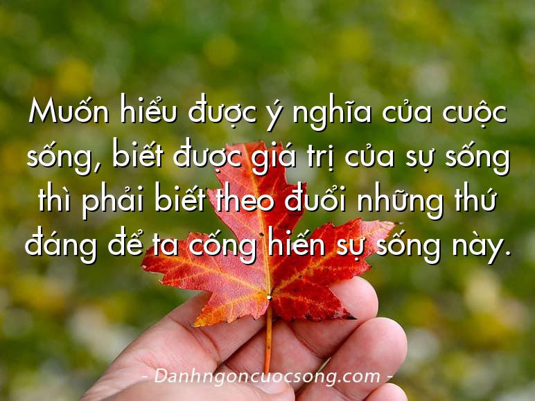 Muốn hiểu được ý nghĩa của cuộc sống, biết được giá trị của sự sống thì phải biết theo đuổi những thứ đáng để ta cống hiến sự sống này. .