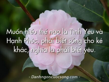 Muốn hiểu thế nào là Tình Yêu và Hạnh Phúc, phải biết sống cho kẻ khác, nghĩa là phải biết yêu.