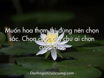 Muốn hoa thơm thì đừng nên chọn sắc. Chọn cuộc đời chứ ai chọn cuộc chơi