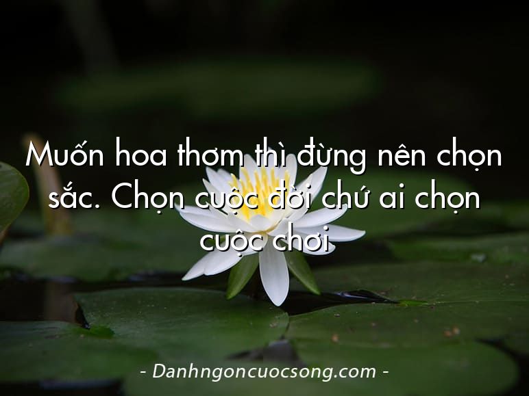 Muốn hoa thơm thì đừng nên chọn sắc. Chọn cuộc đời chứ ai chọn cuộc chơi