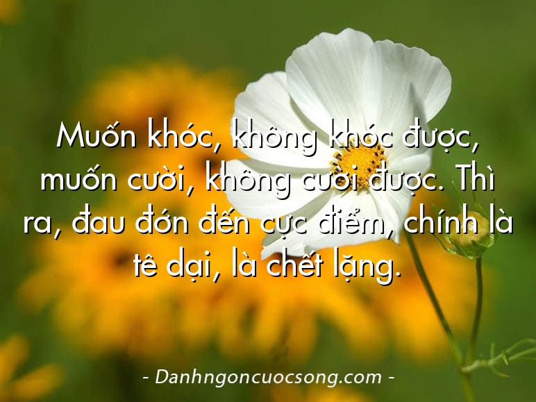 Muốn khóc, không khóc được, muốn cười, không cười được. Thì ra, đau đớn đến cực điểm, chính là tê dại, là chết lặng.