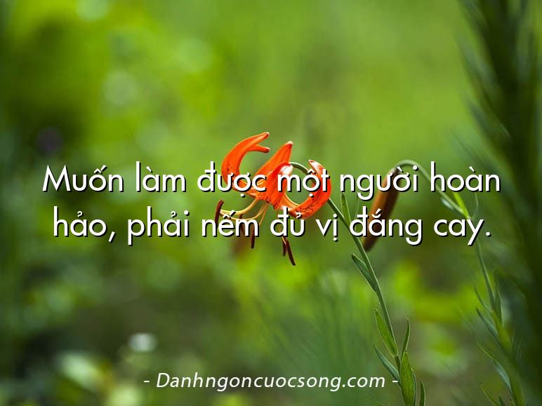 Muốn làm được một người hoàn hảo, phải nếm đủ vị đắng cay.