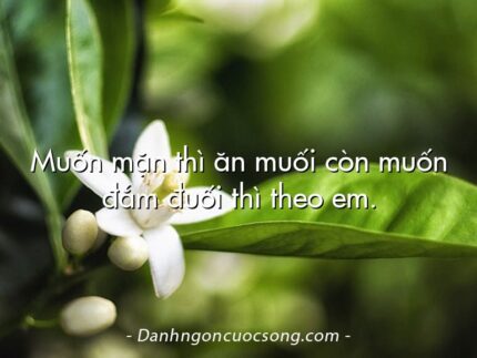 Muốn mặn thì ăn muối còn muốn đắm đuối thì theo em.
