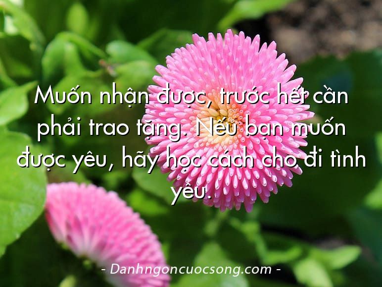 Muốn nhận được, trước hết cần phải trao tặng. Nếu bạn muốn được yêu, hãy học cách cho đi tình yêu.
