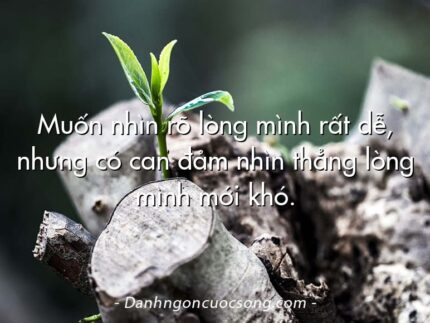 Muốn nhìn rõ lòng mình rất dễ, nhưng có can đảm nhìn thẳng lòng mình mới khó.