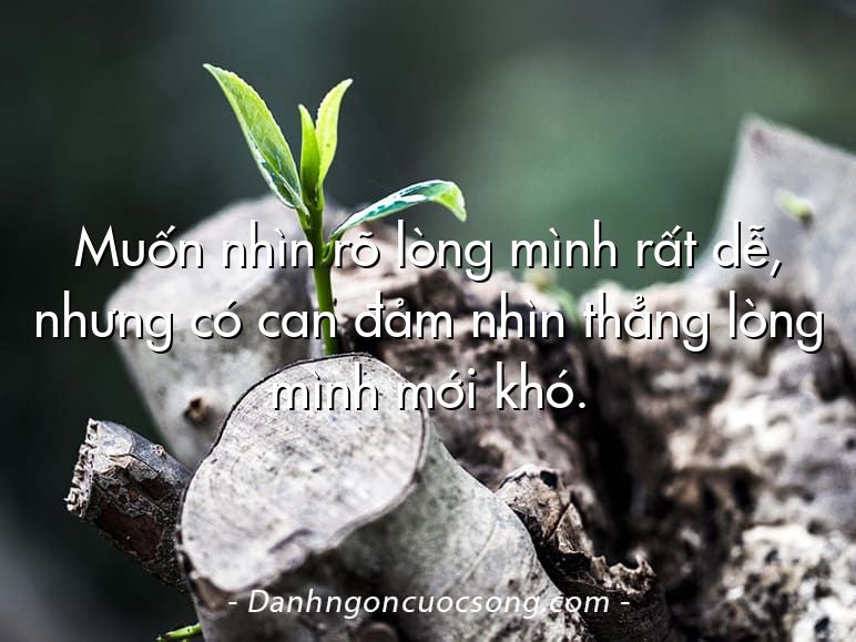 Muốn nhìn rõ lòng mình rất dễ, nhưng có can đảm nhìn thẳng lòng mình mới khó.