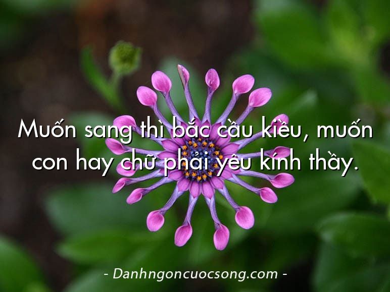 Muốn sang thì bắc cầu kiều, muốn con hay chữ phải yêu kính thầy.
