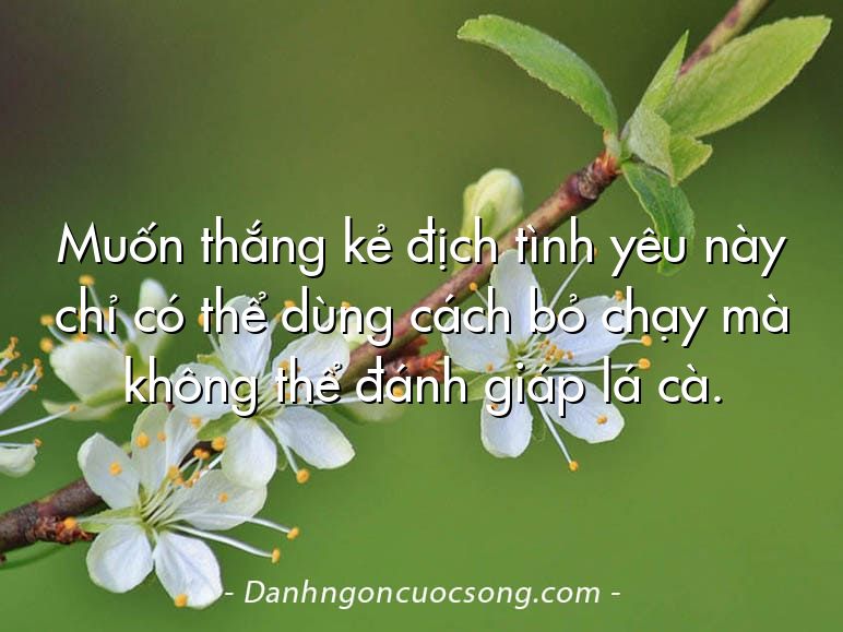 Muốn thắng kẻ địch tình yêu này chỉ có thể dùng cách bỏ chạy mà không thể đánh giáp lá cà.
