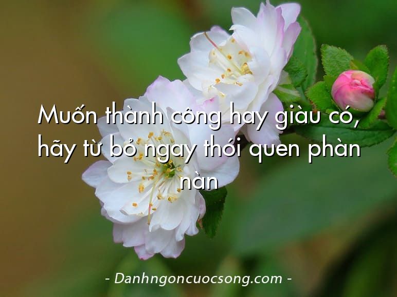 Muốn thành công hay giàu có, hãy từ bỏ ngay thói quen phàn nàn