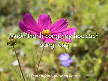 Muốn thành công hãy học cách bằng lòng