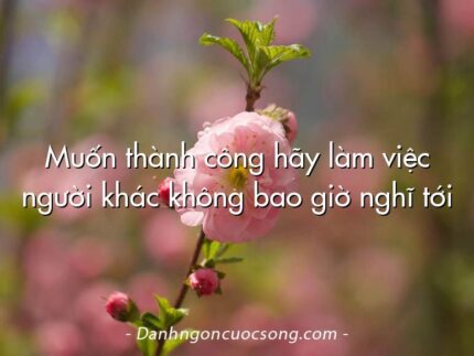 Muốn thành công hãy làm việc người khác không bao giờ nghĩ tới