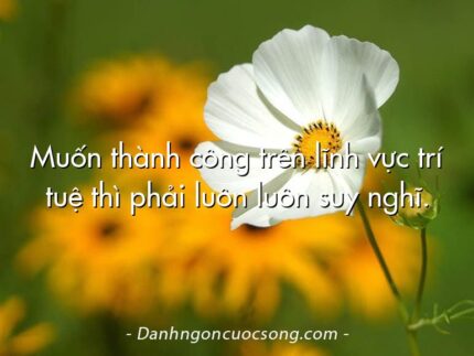 Muốn thành công trên lĩnh vực trí tuệ thì phải luôn luôn suy nghĩ.