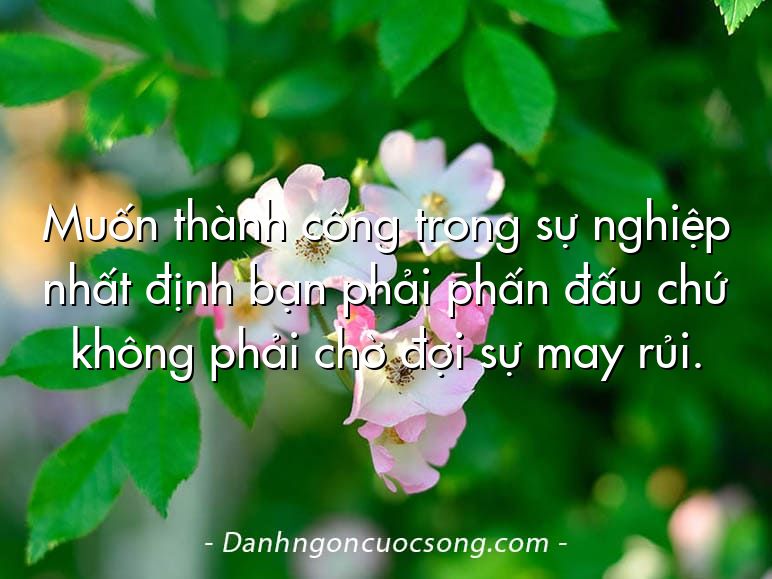 Muốn thành công trong sự nghiệp nhất định bạn phải phấn đấu chứ không phải chờ đợi sự may rủi.