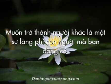 Muốn trở thành người khác là một sự lãng phí con người mà bạn đang có.