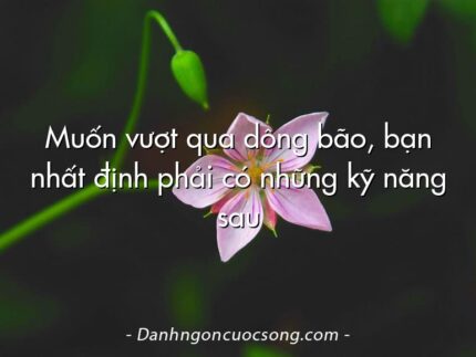 Muốn vượt qua dông bão, bạn nhất định phải có những kỹ năng sau