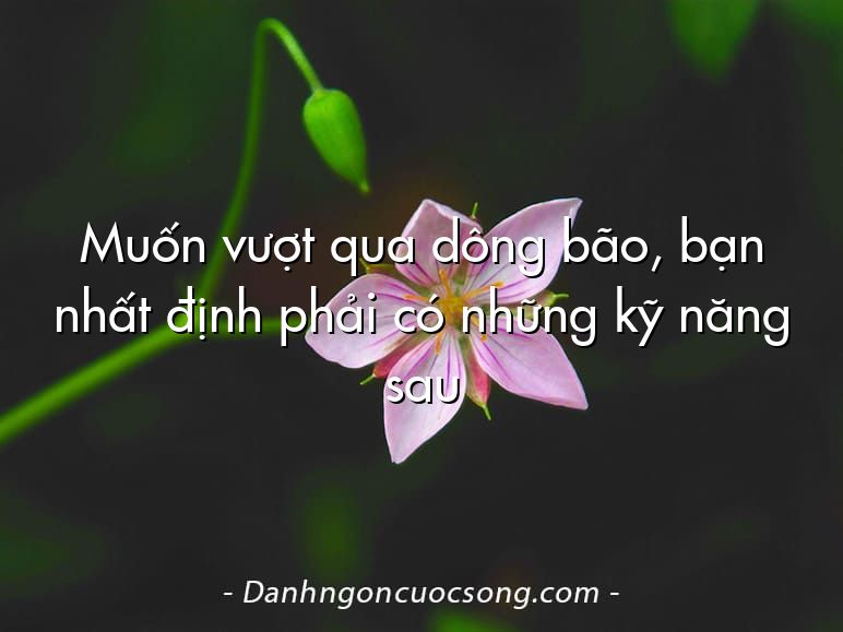 Muốn vượt qua dông bão, bạn nhất định phải có những kỹ năng sau