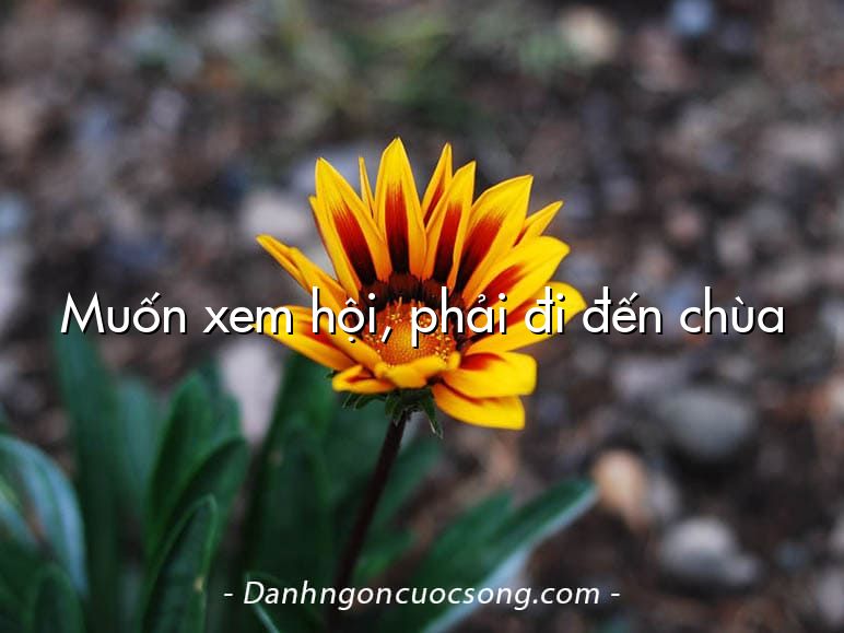 Muốn xem hội, phải đi đến chùa