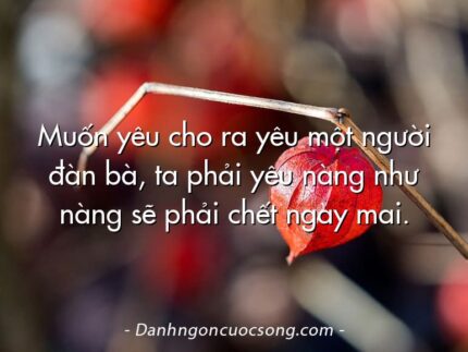 Muốn yêu cho ra yêu một người đàn bà, ta phải yêu nàng như nàng sẽ phải chết ngày mai.