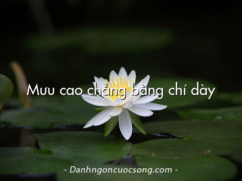 Mưu cao chẳng bằng chí dày