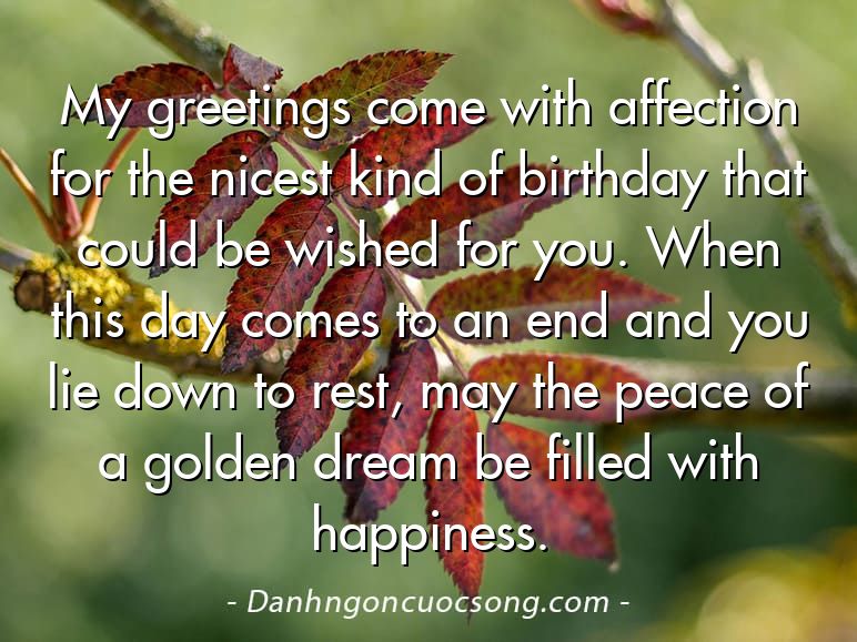 My greetings come with affection for the nicest kind of birthday that could be wished for you. When this day comes to an end and you lie down to rest, may the peace of a golden dream be filled with happiness.