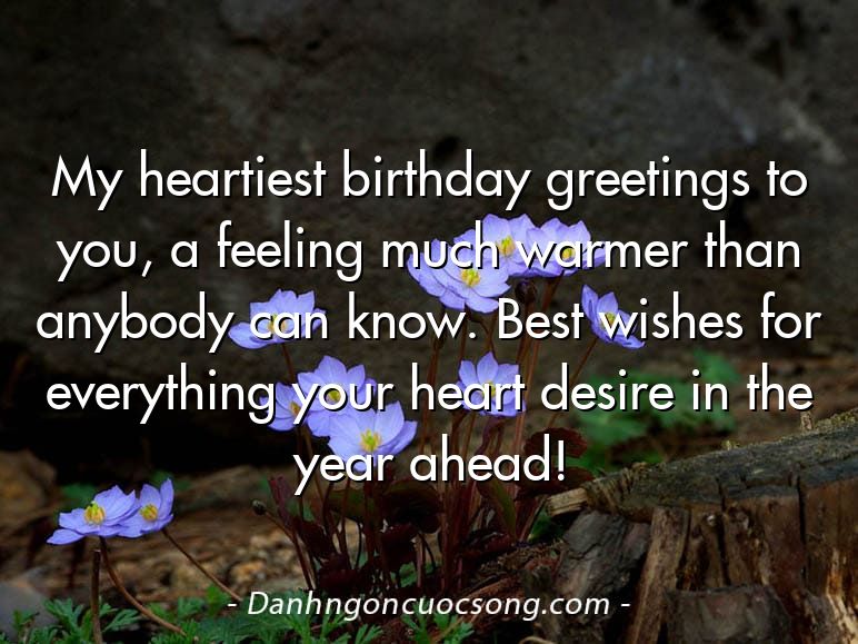 My heartiest birthday greetings to you, a feeling much warmer than anybody can know. Best wishes for everything your heart desire in the year ahead!